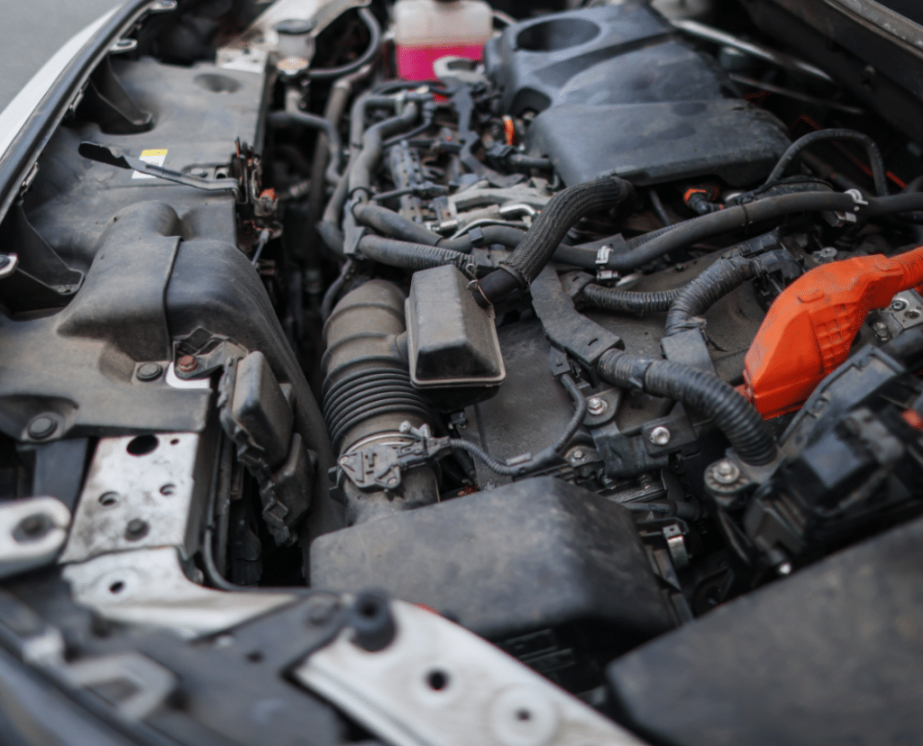 Preventative vs. Preventive – Which is Correct? visual data 5